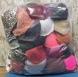 Reggiseni Usati Ingrosso dal Belgio